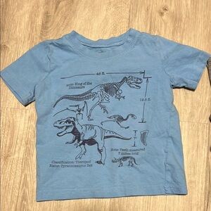4 for $20 Blue Dinosaur Graphic Kids T-Shirt